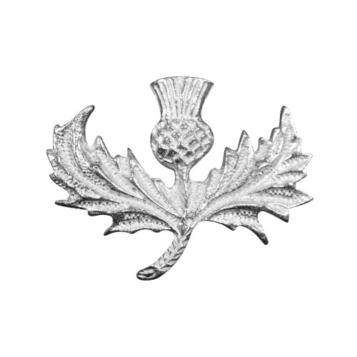 Wide Thistle Brooch - Click Image to Close